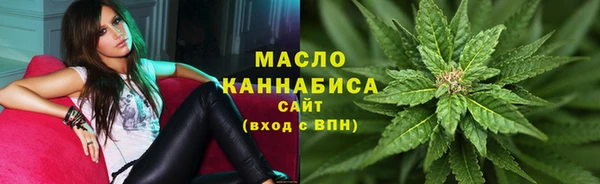 скорость Каменка