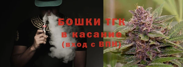 скорость Каменка