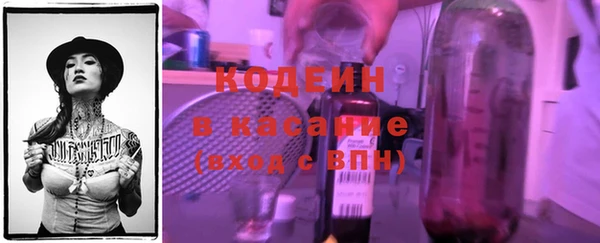 стафф Иннополис