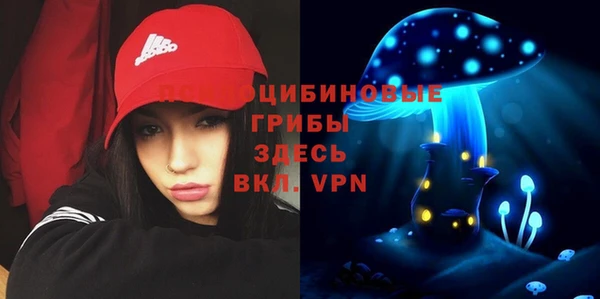 стафф Иннополис
