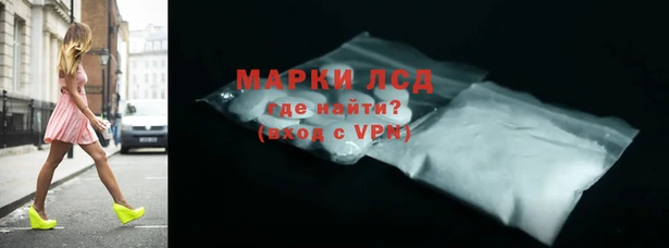 стафф Иннополис
