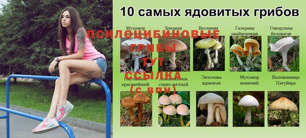 стафф Иннополис