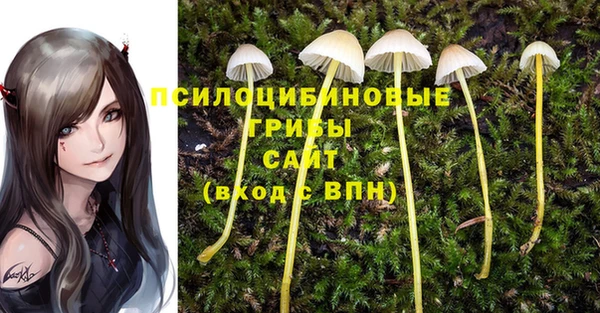 не бодяженный Каменск-Шахтинский