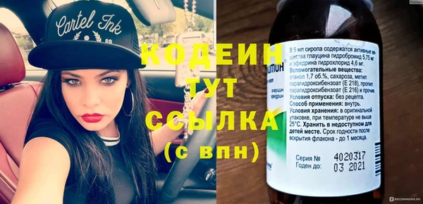 скорость Каменка