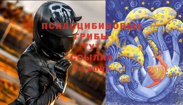 метамфетамин Инта